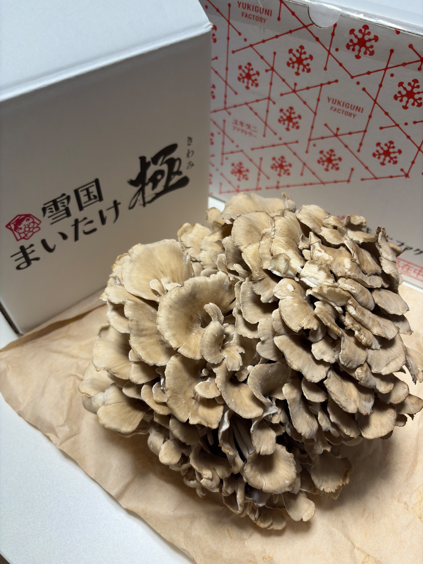 優待画像