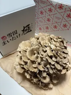 優待画像